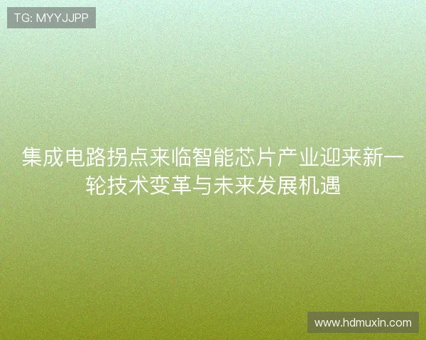 集成电路拐点来临智能芯片产业迎来新一轮技术变革与未来发展机遇